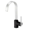 Reginox Amur Single Lever Kitchen Mixer Tap - Chrome & Black -Roc Bathroom Furni Store amurcbsp l