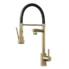 Venice Brushed Brass Kitchen Sink Mixer With Smooth Rubber Hose And Flexi Spray